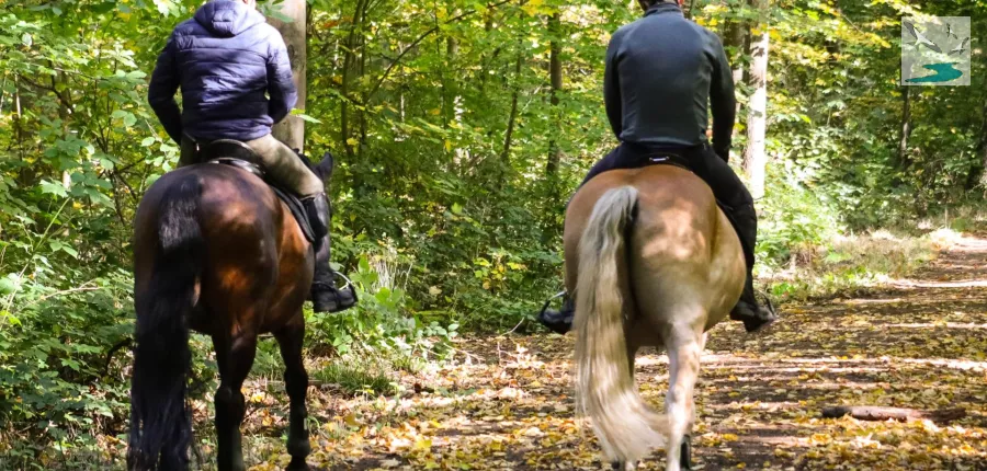 Centre équestre balade à cheval