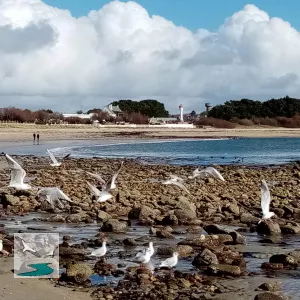 Plage du Stole à Lomener
