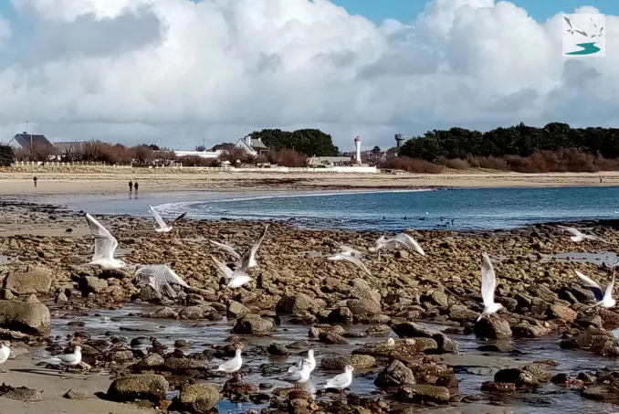 Plage du Stole Lomener